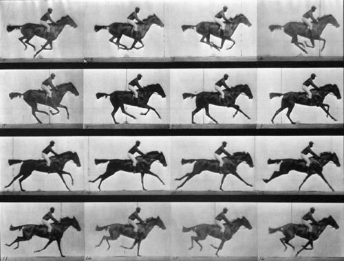 Le galop du cheval photographié par Eadweard Muybridge (1878)