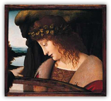 Narcisse