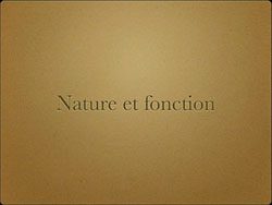 Nature et fonction