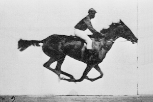 Séquence en mouvement du Sallie Gardner at a Gallop (1878)