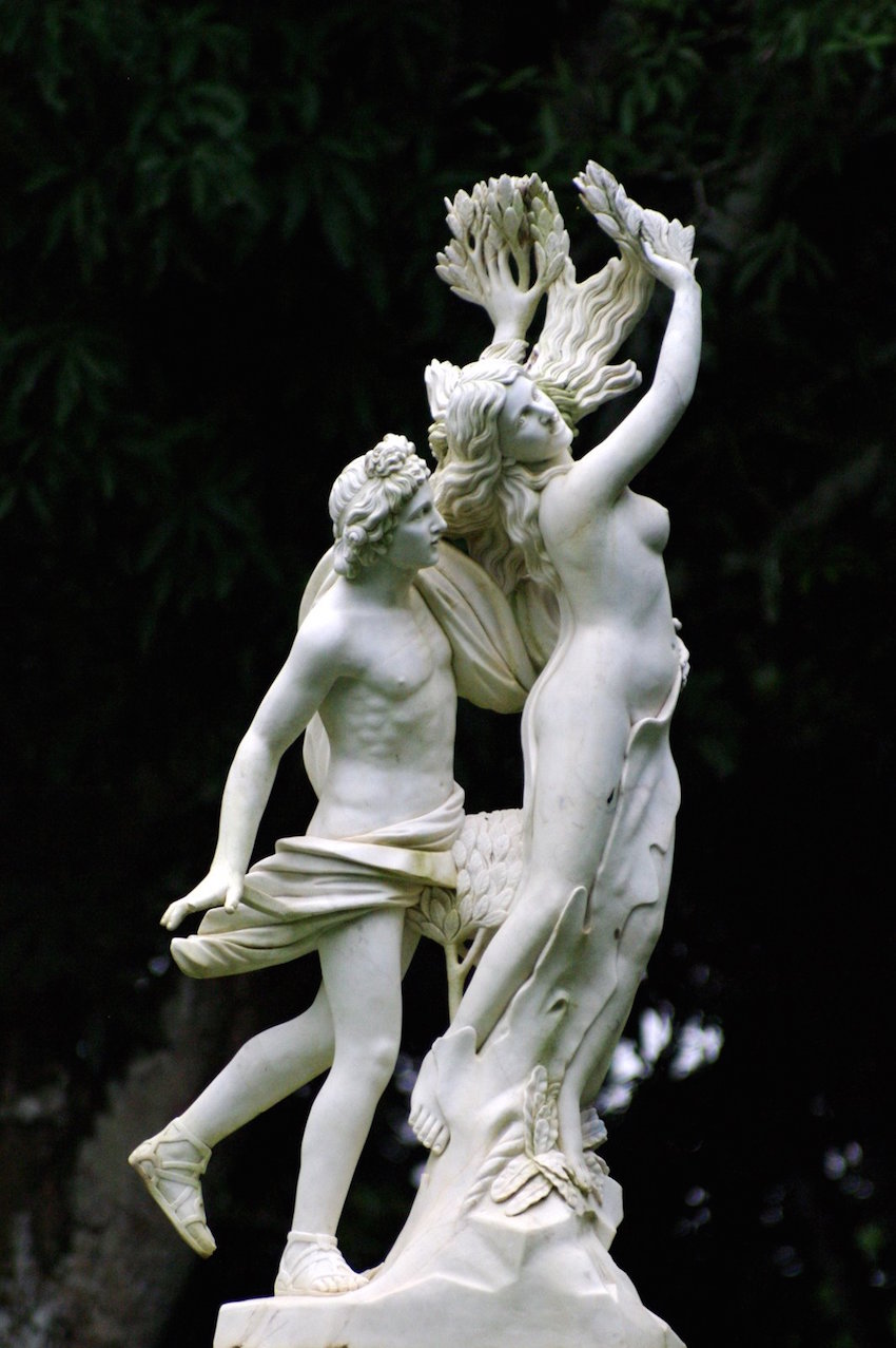 « Apollon et Daphné » par le Bernin (copie)