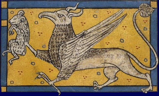 Griffon