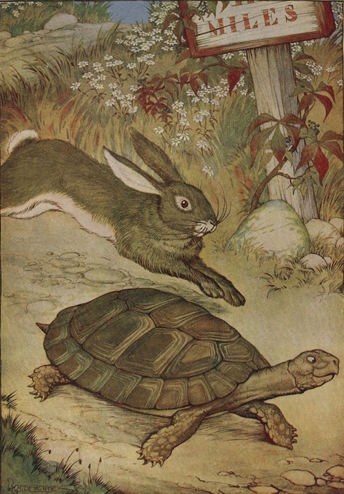 Le Lièvre et la Tortue