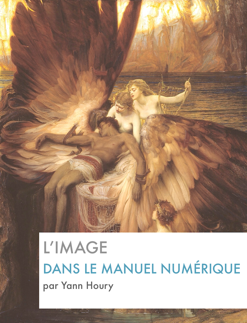 Couverture du livre L'image dans le manuel numérique