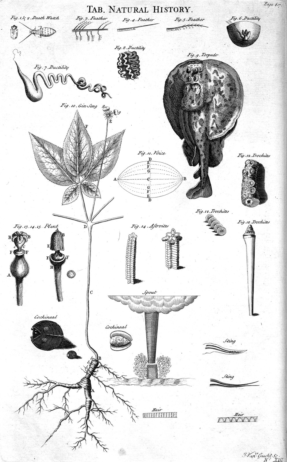 Les sciences naturelles